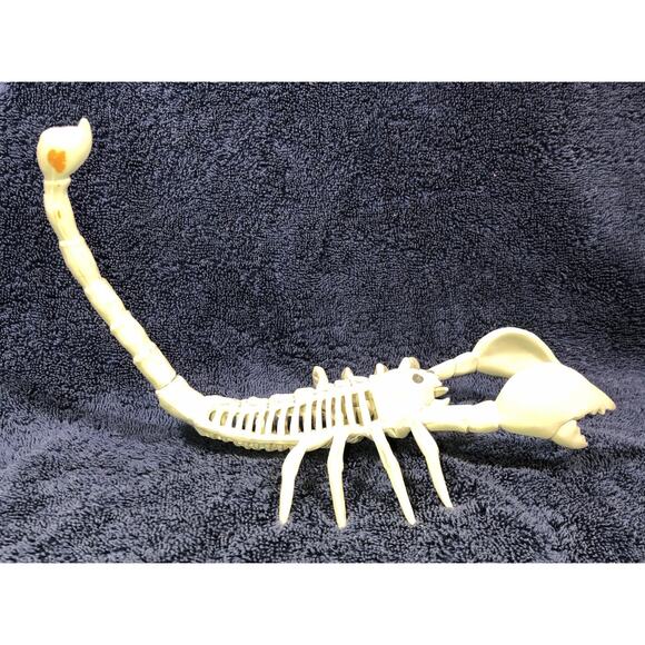 Halloween Skeleton Scorpion Scary Bones 7x6 - Picture 3 of 10
